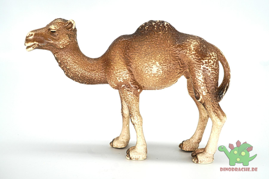 Schleich  Dromedar Set 14355 + 14356